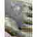 item-130929289=16