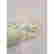 item-131142526=5