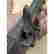 item-131630433=17