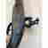 item-131631229=9