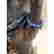 item-131685897=3