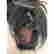 item-131687041=14