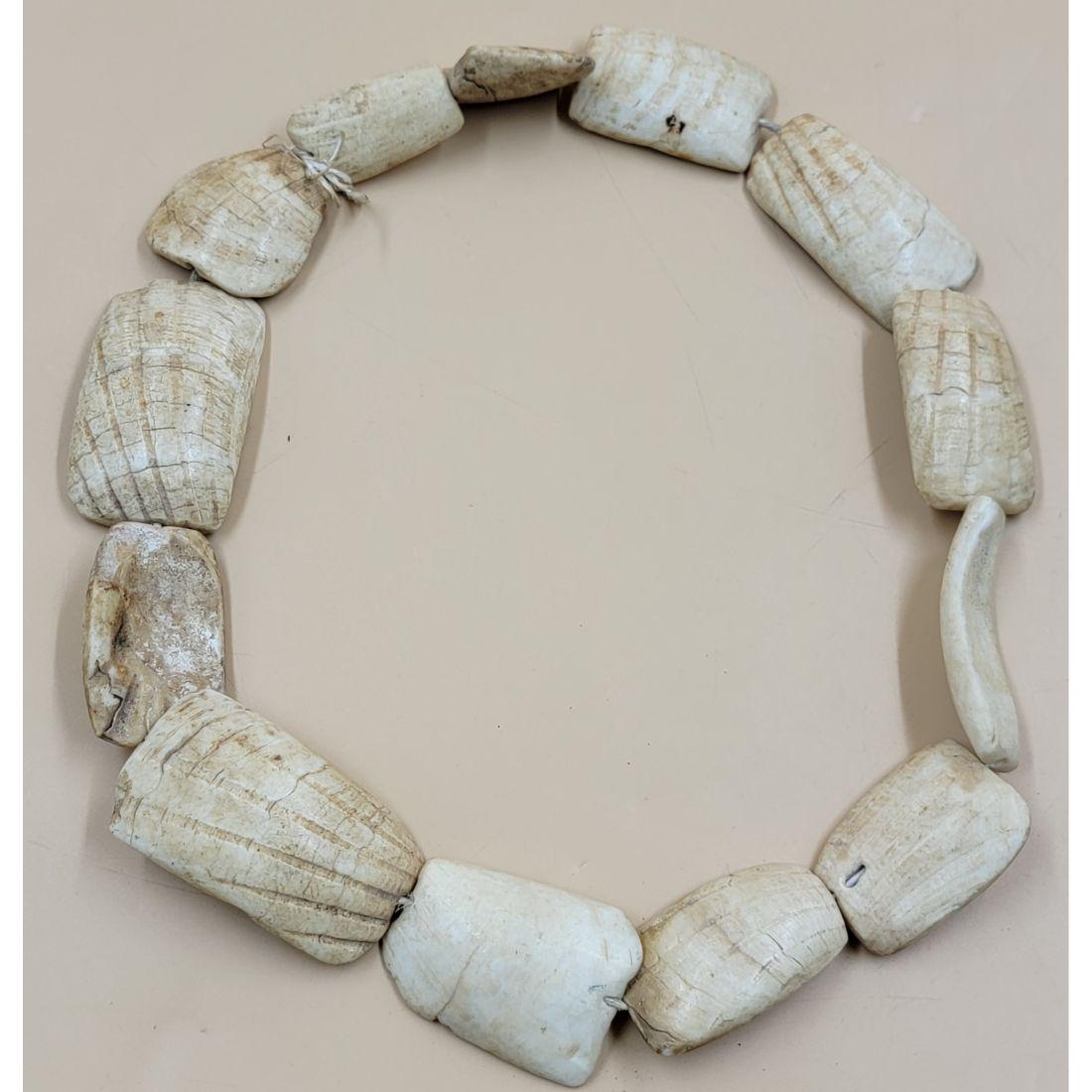 Papua New Guinea Shell Ornament Oceanic Adornment Mt Hagen Western Highlands (1 of 13)