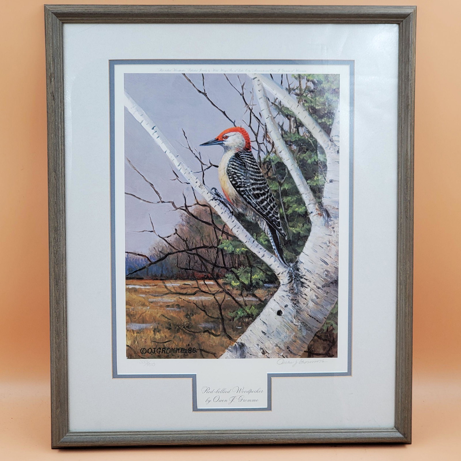 Pencil Signed Owen Gromme Woodpecker Litho, 333/950: Pencil Signed Owen Gromme Woodpecker Litho, 333/950. The frame measures 25" x 20 1/4". The Sight Measures 16" x 12". Please carefully read our terms of sale, shipping information, and request any cond