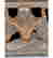 item-136231876=9
