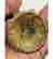 item-136246357=9