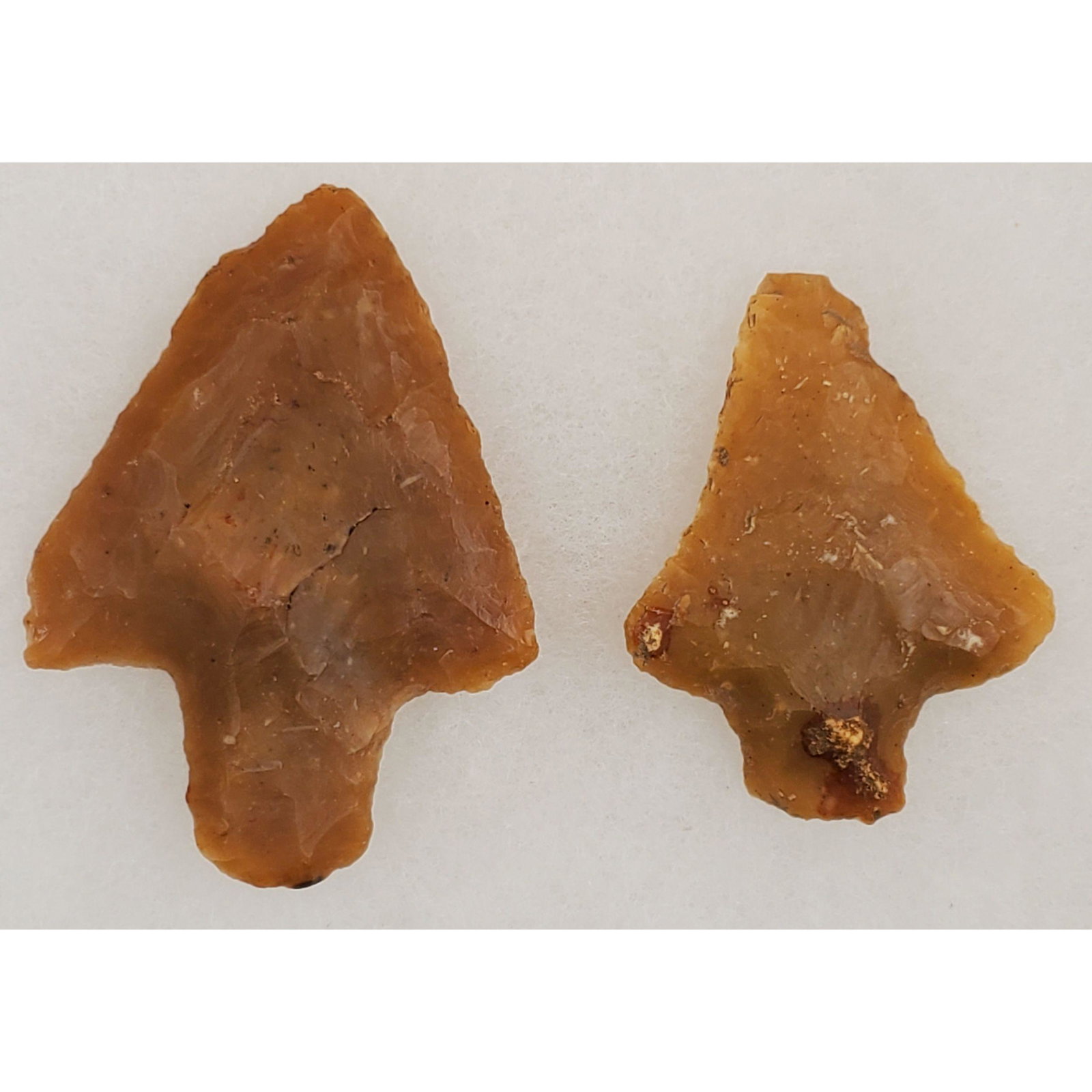 Pair of Kirk and Abbey Arrowheads: Pair of Kirk and Abbey Arrowheads. The Kirk measures 2" x 2 3/4", and it was found in Jefferson County Florida, Goose Pasture Site. The Abbey measures 1 5/8" x 2", and it was found in Early County Geo