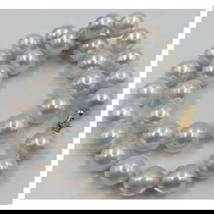 A Fine South Sea Pearl Necklace 54 Grams, 12 To 14.1MM, 32 Pearls With Gold Clasp: A Fine South Sea Pearl Necklace 54 Grams, 12 To 14.1MM, 32 Pearls With Gold Clasp. Measures approx. 17 1/2" long unclasped. || Please carefully read our terms of sale, shipping information, and reques