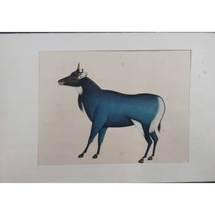 Indian Company School Style Watercolor of Nilgai: Indian Company School Style Water Color of Nilgai. Paper measures 7.5" X 11" || Please carefully read our terms of sale, shipping information, and request any condition reports or photos prior to plac