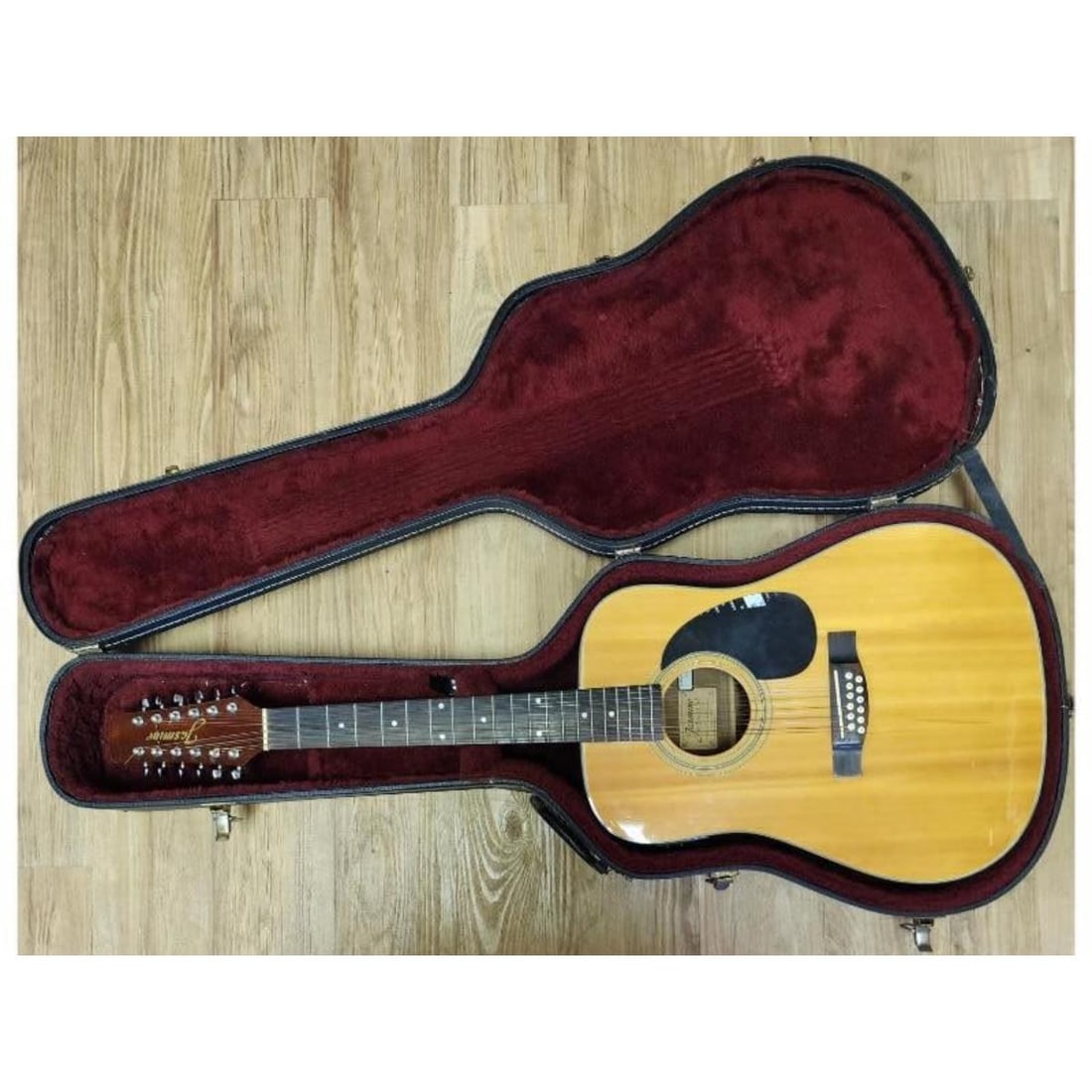 Jasmine 2024 guitar case