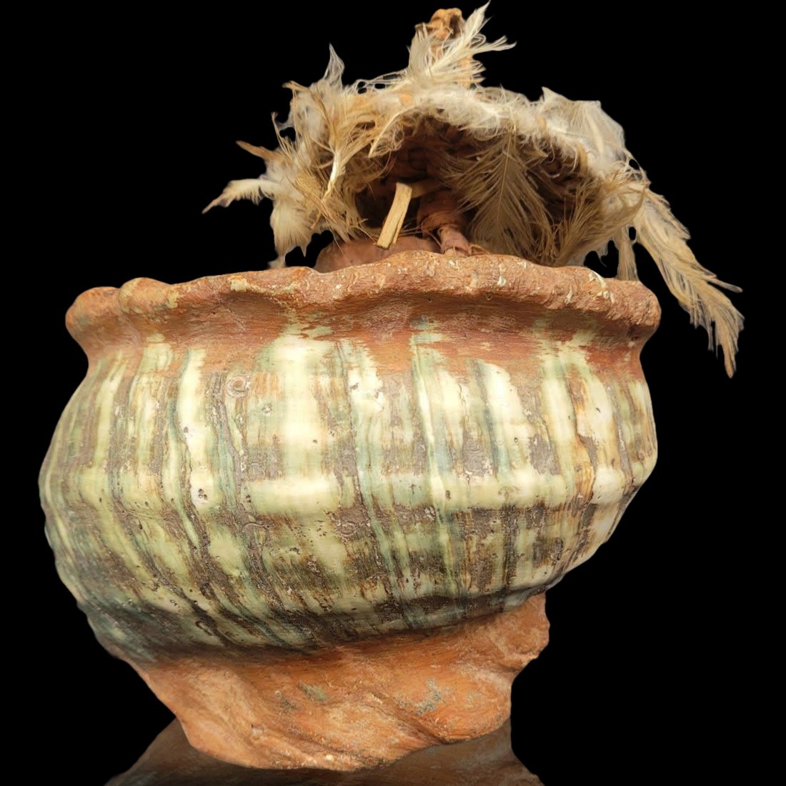 Papua New Guinea Conch Craft, Possibly Shell Currency NO RESERVES (1 of 8)