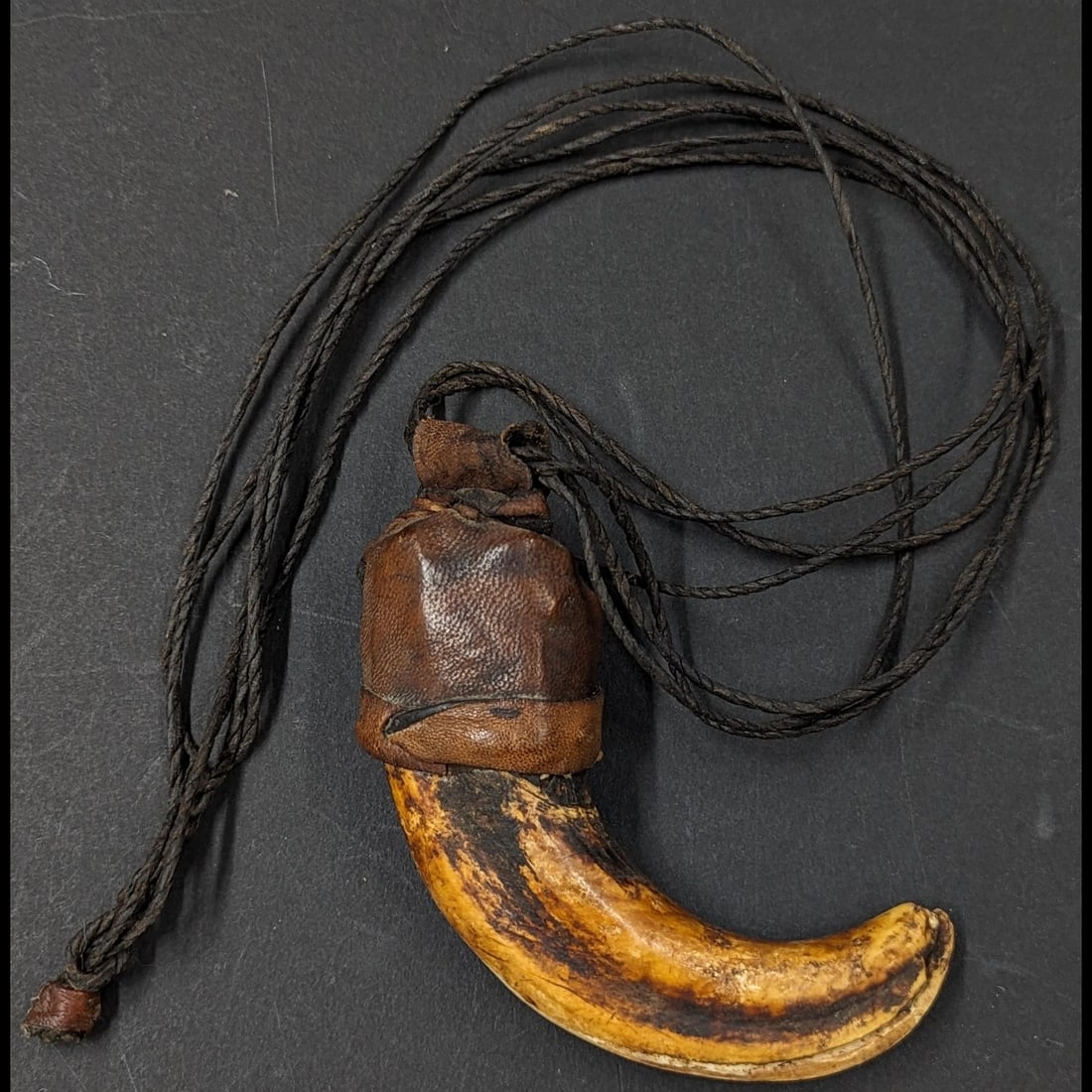 A Very Early Boar Tusk Wrapped In Leather Necklace, From Either Southeast Asia Or Africa: A Very Early Boar Tusk Wrapped In Leather Necklace, From Either Southeast Asia Or Africa. Measure approx. 21" long total, the tusk measures approx. 4 1/2" long. || >>>RBFineArts CFL Inc. Shipping, Pay