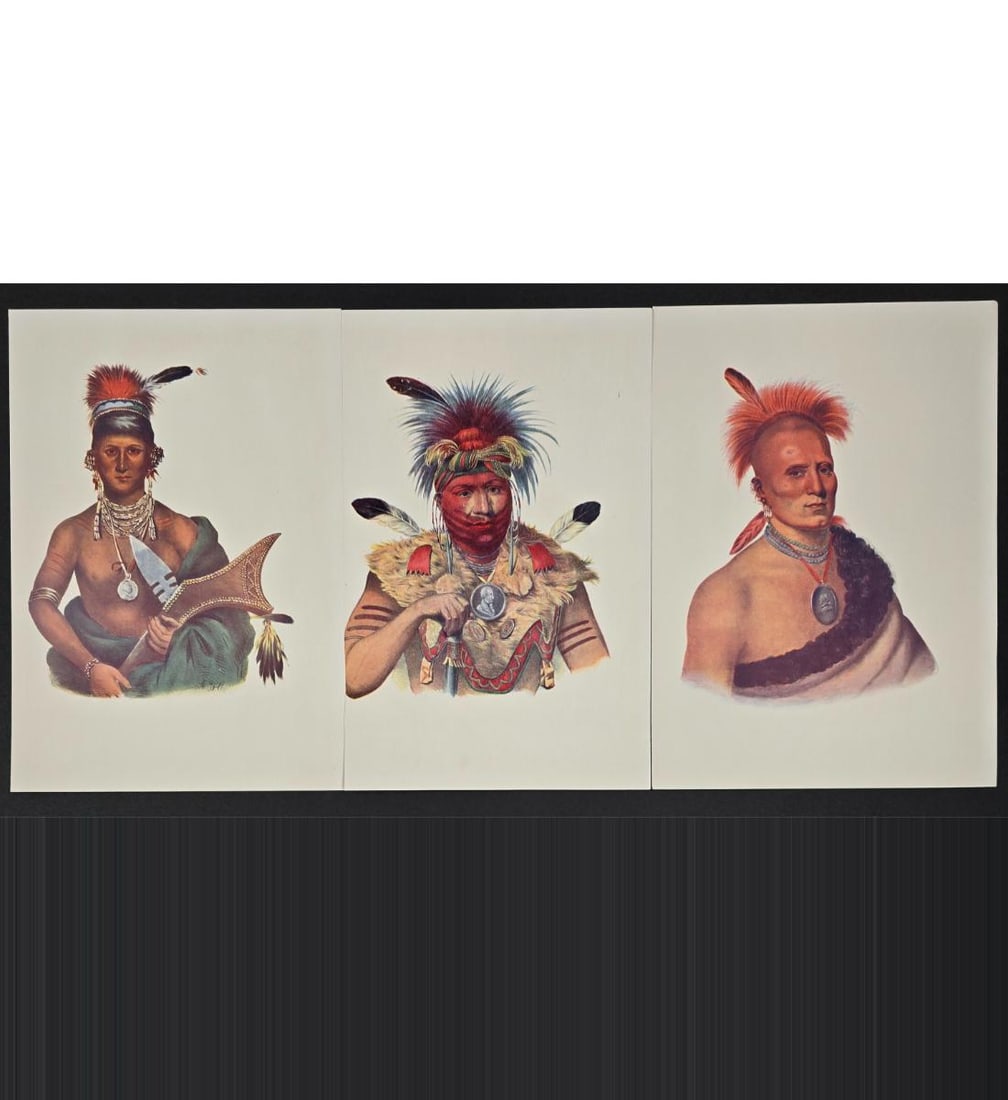 Rare Color Lithographic Plates 1909 History Of The Indian Tribes Of North America: You Are Bidding On 3 Rare Color Lithographic Plates 1909 History Of The Indian Tribes Of North America After Karl Bodmer, Charles Bird King James Otto Lewis, Very Colorful And Vibrant, All 8" X 6 1/4"