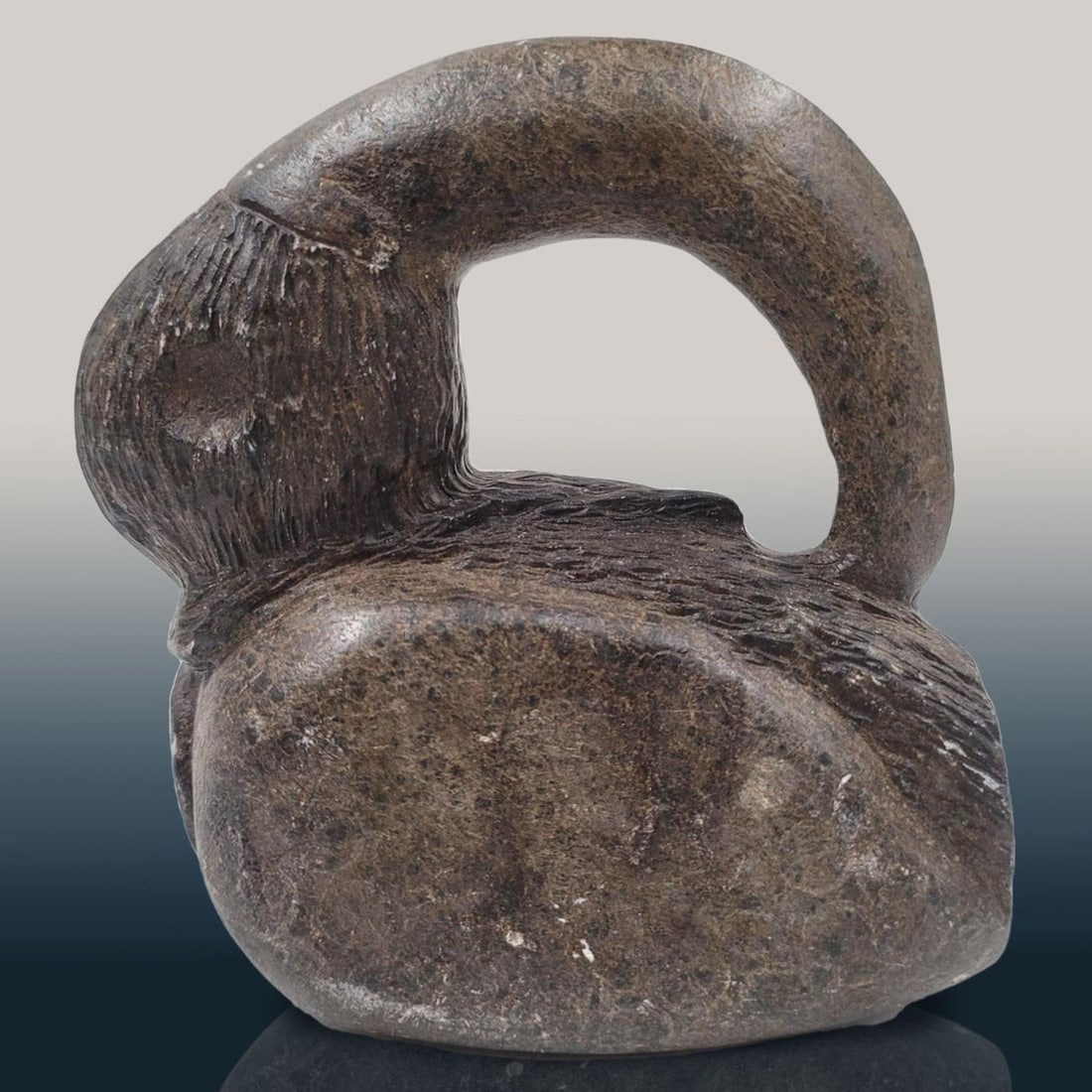 A Native American Steatite Bird Effigy Pipe (1 of 6)