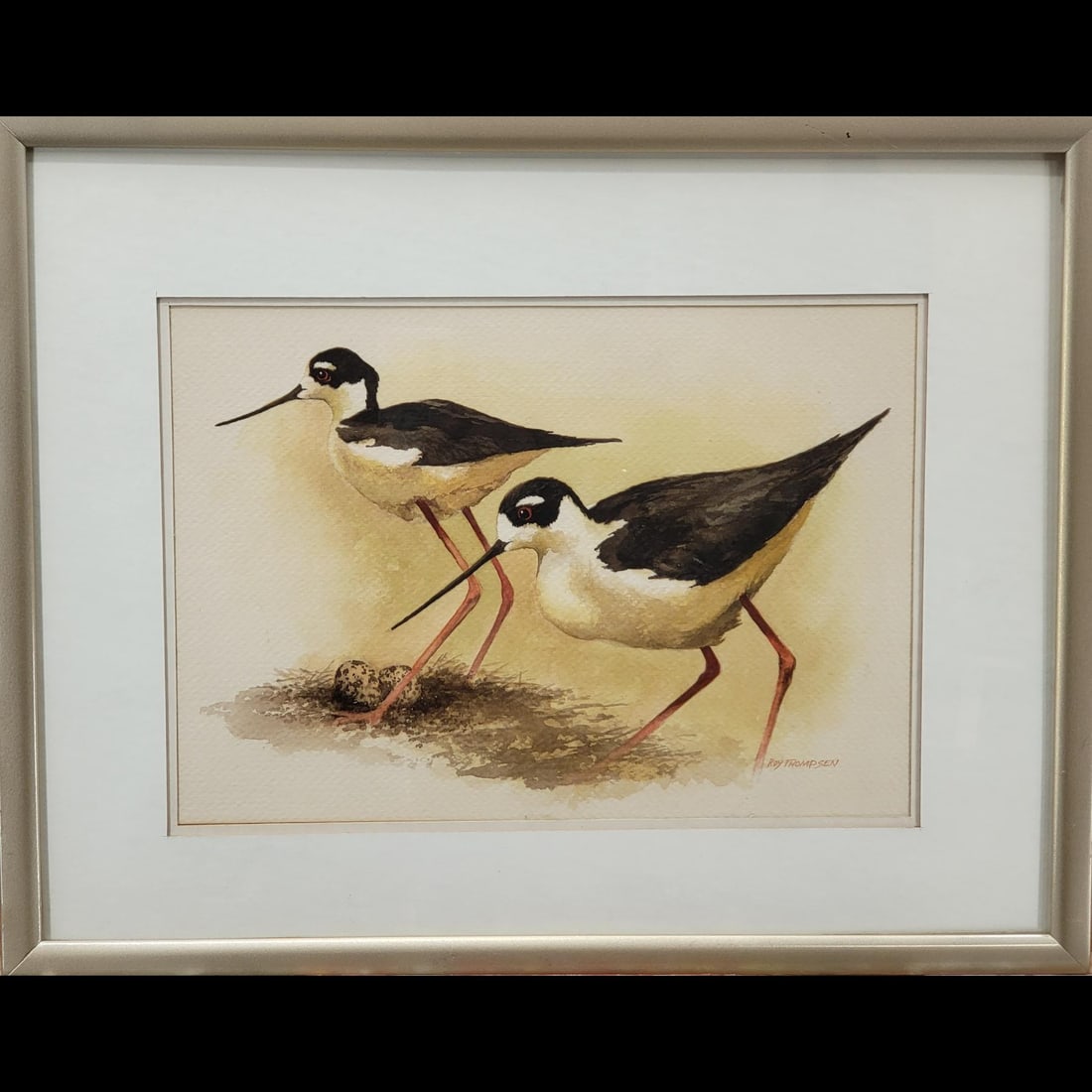 Roy Thompsen (American, b. 1928) Original Watercolor Painting Of Black-Necked Stilts (1 of 10)