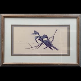 A Framed Print Of Belted Kingfishers Pair