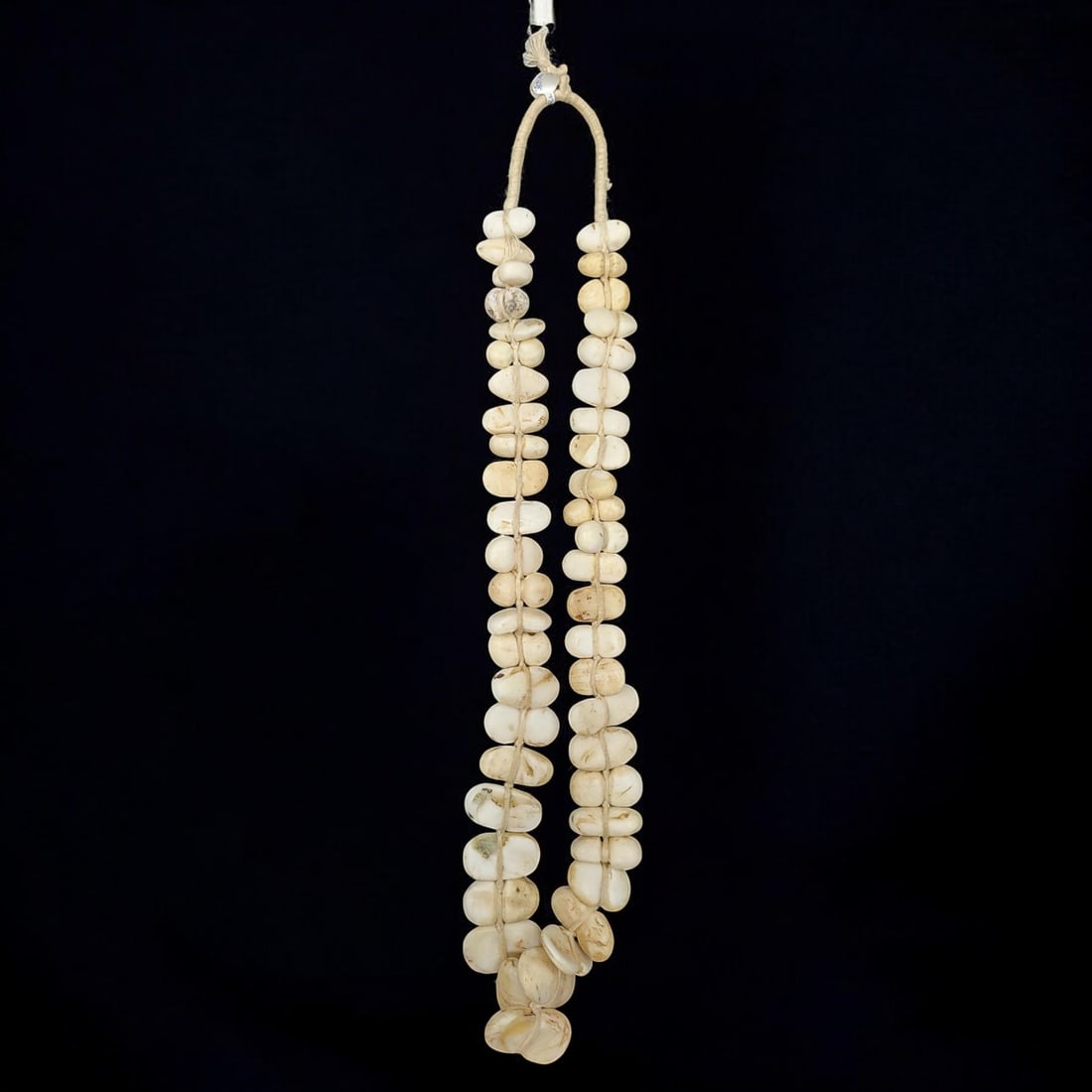 A Very Rare African Mali Conus Shell Beaded Necklace, 48 Shells (1 of 12)