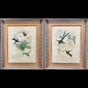 John Gould (English, 1804-1881) Pair Of Framed Hummingbird Prints