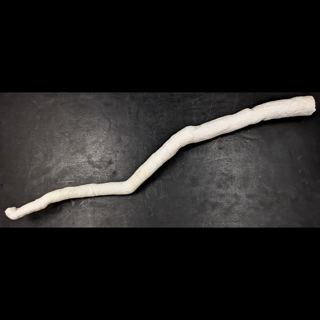 A Very Old Large White Pipe Coral: A Very Old Large White Pipe Coral. Measures approx. 31" long. Please copy and paste the URL link below to review our Terms and Conditions for bidding, payment, shipping and other specifics f