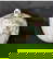 item-201545573=11
