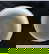 item-201650582=10