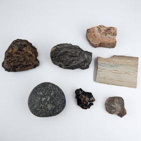 Lot Of 7 Stones And Petrified Wood Of Various Sizes And Types