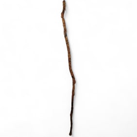 Ceremonial Plains Indian Tribal Walking Stick Depicting Shamanistic Rituals And Zoomorphic Creatures