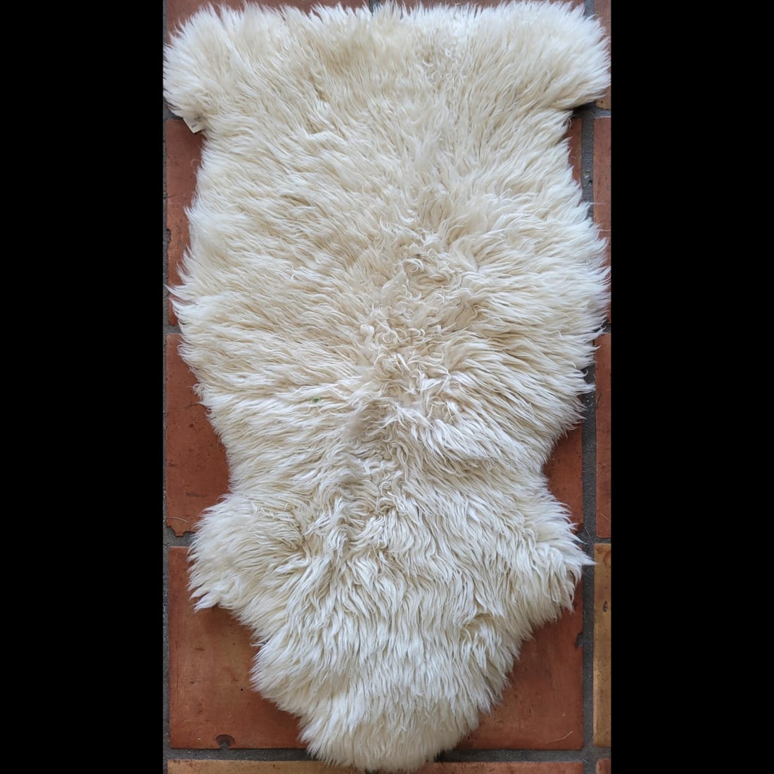 White Alpaca Hide: White Alpaca Hide. Measures approx. 43" X 23". Please copy and paste the URL link below to review our Terms and Conditions for bidding, payment, shipping and other specifics for the auction