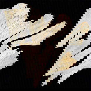 Grouping Of Cow Or Deer Bones Carved W/ Chinese Logogram, 9 Pieces: Grouping Of Cow Or Deer Bones Carved W/ Chinese Calligraphy/Logogram, 9 Pieces. Measures approximately 11-3/4" long. Please copy and paste the URL link below to review our Terms and Conditi