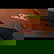 item-207961485=15