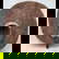 item-208675235=4
