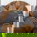 item-208764825=5