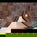 item-209235154=5