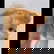 item-209725683=16