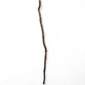 Ceremonial Plains Indian Tribal Walking Stick Depicting Shamanistic Rituals And Zoomorphic Creatures