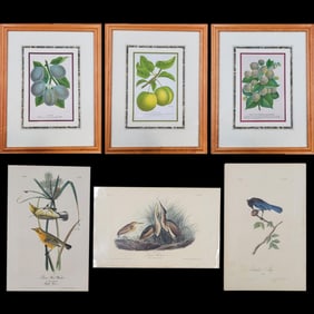 Botany & Bird Prints After Pierre-Joseph Redoute & J.J. Audubon W/ COA, 6 Pieces