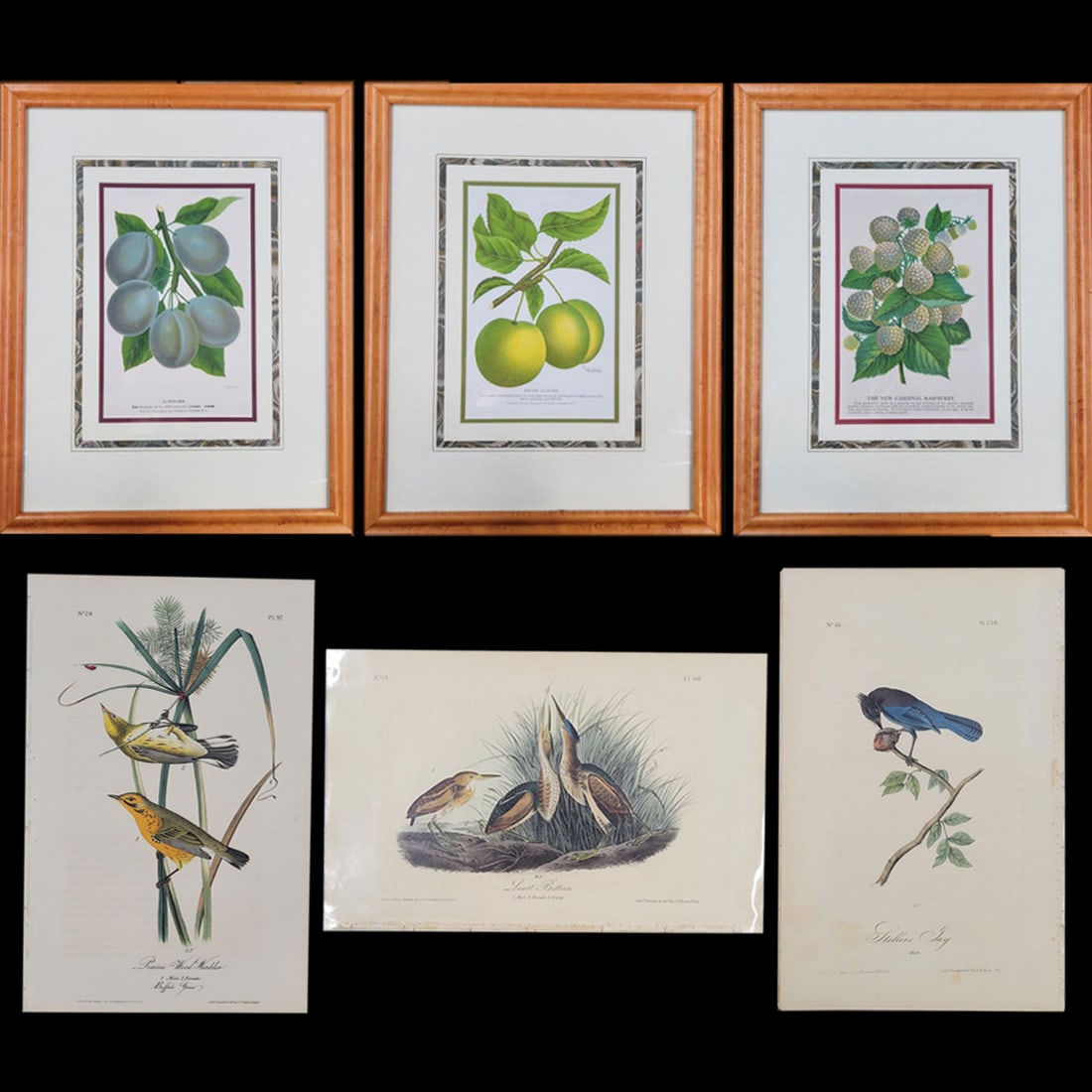 Botany & Bird Prints After Pierre-Joseph Redoute & J.J. Audubon W/ COA, 6 Pieces (1 of 10)