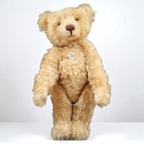 Steiff Bear 1905 Teddy Boy 19" Tall