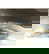 item-209406279=4