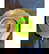 item-209407953=13