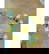 item-209407953=7