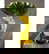 item-209428145=3
