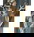item-209573353=11