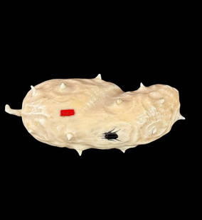 Antique Carved Fruit With Inlaid Shibayama Insects And Semi Precious Materials, Meiji Pd. Signed: Japanese amazingly realistic carved bone in the shape of a fruit with inlaid shibayama insects carved from semiprecious materials like mother of pearl and others. Artist signed and dating from the
