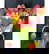 item-209706565=10