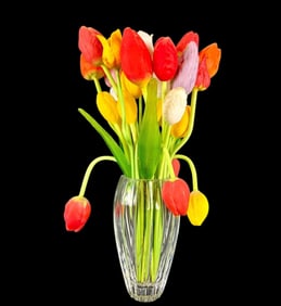 1930 German Art Deco Hand Blown Art Glass Collection Of 30 Tulips & Waterford Vase