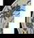 item-210214932=15