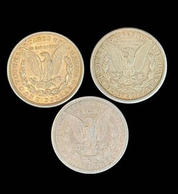 A Grouping Of 3 Morgan Silver Dollars Various Dates, Ungraded.