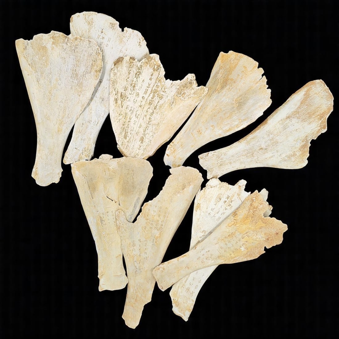 Grouping Of Cow Or Deer Bones Carved W/ Chinese Logogram, 9 Pieces: ***RE-LISTED DUE TO BUYER NOT PAYING*** Grouping Of Cow Or Deer Bones Carved W/ Chinese Calligraphy/Logogram, 9 Pieces. Measures approximately 11-3/4" long. Please copy and paste the U