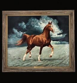 Lawrence Williams 1913-2003 Oil On Canvas Arabian Stallion Horse "Muscat"